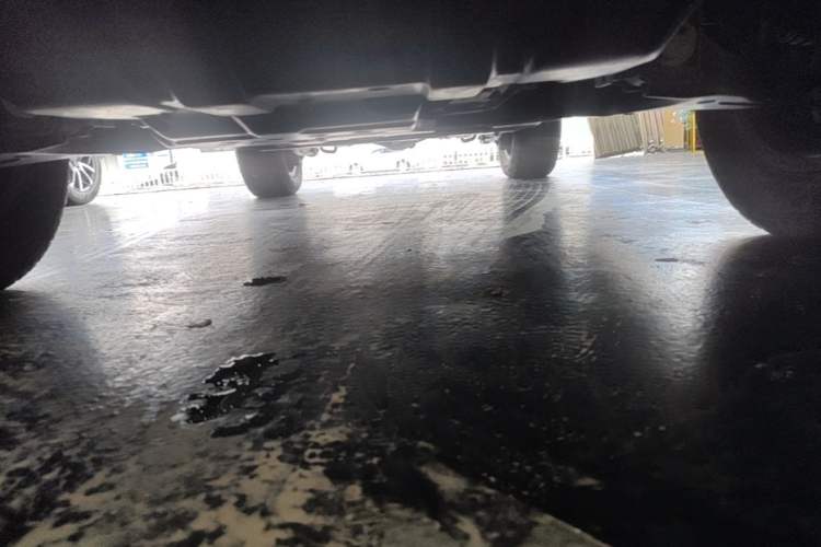 Used Tank 300 New Energy 2025 Hi4-T Chassis Front