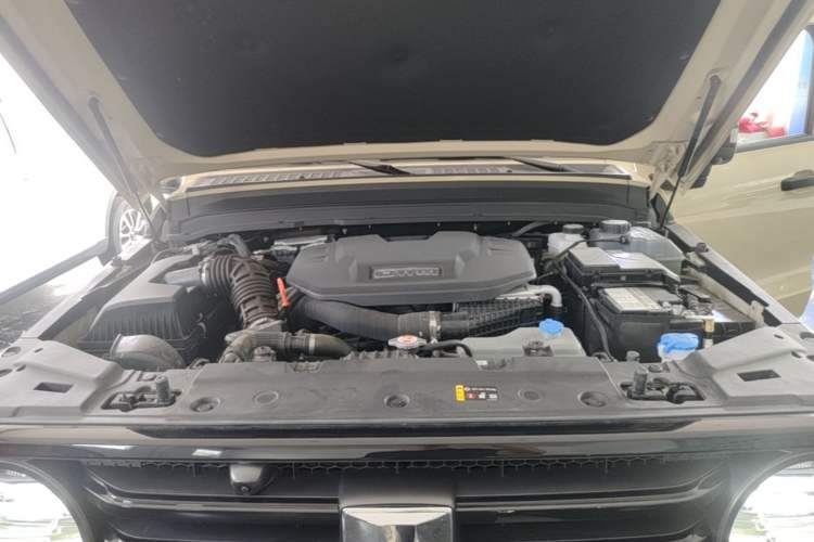 Used Tank 300 New Energy 2025 Hi4-T Engine Bay