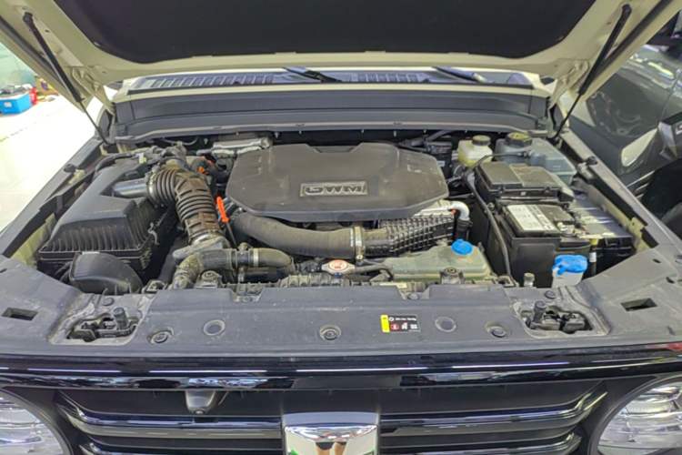 Used Tank 300 New Energy 2025 Hi4-T Engine Bay