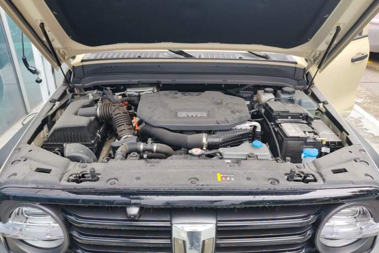 Used Tank 300 New Energy 2025 Hi4-T Engine Bay
