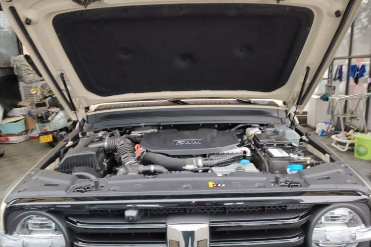 Used Tank 300 New Energy 2025 Hi4-T Engine Bay