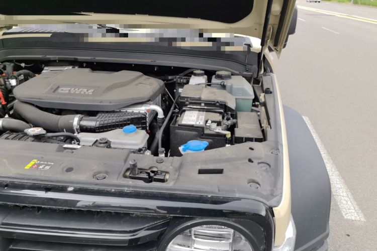 Used Tank 300 New Energy 2025 Hi4-T Engine Bay Left
