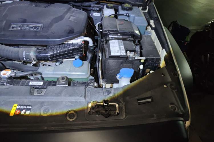 Used Tank 300 New Energy 2025 Hi4-T Engine Bay Left