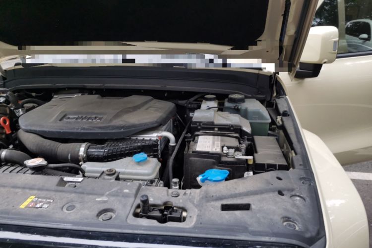 Used Tank 300 New Energy 2025 Hi4-T Engine Bay Left