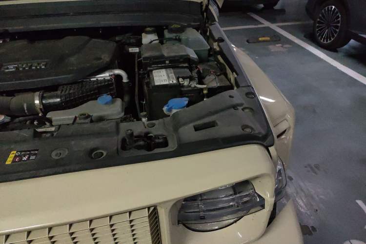 Used Tank 300 New Energy 2025 Hi4-T Engine Bay Left