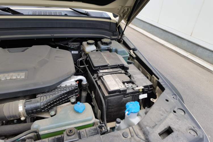 Used Tank 300 New Energy 2025 Hi4-T Engine Bay Left
