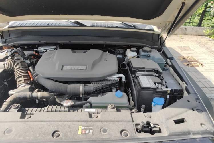 Used Tank 300 New Energy 2025 Hi4-T Engine Bay Left