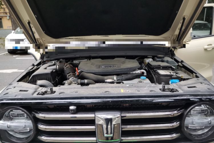 Used Tank 300 New Energy 2025 Hi4-T Engine Bay