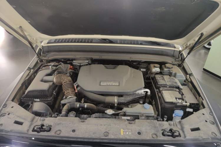 Used Tank 300 New Energy 2025 Hi4-T Engine Bay