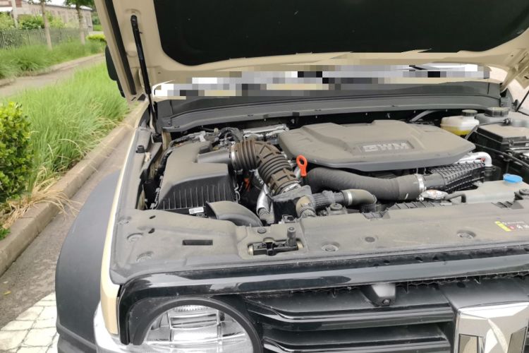 Used Tank 300 New Energy 2025 Hi4-T Engine Bay Right