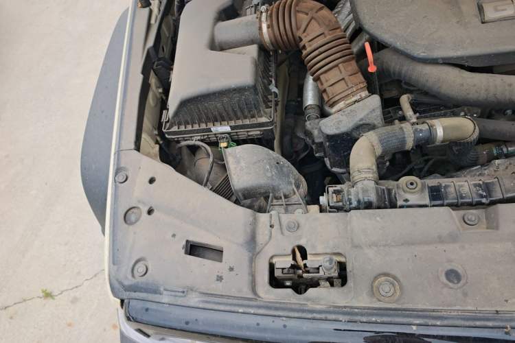 Used Tank 300 New Energy 2025 Hi4-T Engine Bay Right