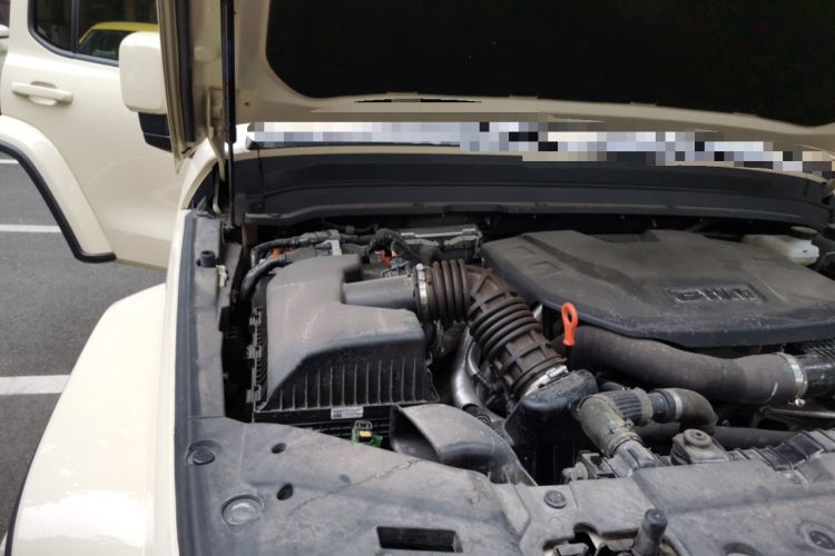 Used Tank 300 New Energy 2025 Hi4-T Engine Bay Right