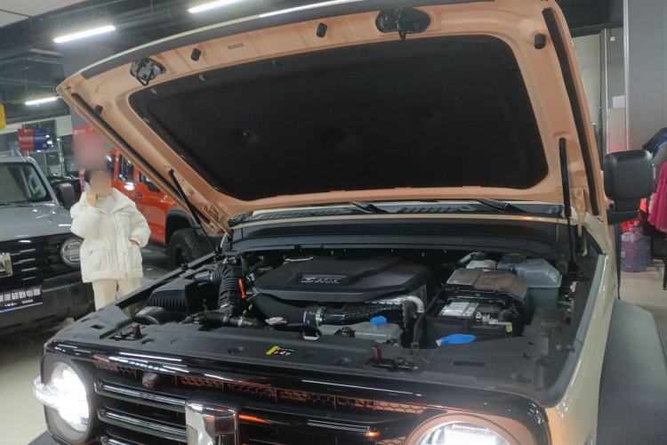 Used Tank 300 New Energy 2025 Hi4-T Engine Bay