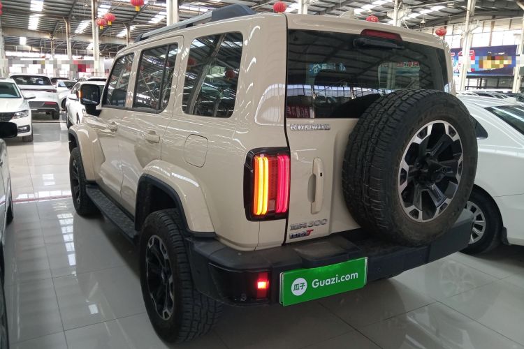 Used Tank 300 New Energy 2025 Hi4-T Exterior 2