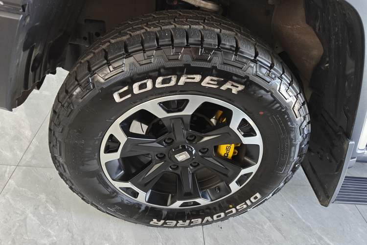 Used Tank 300 New Energy 2025 Hi4-T Exterior 4