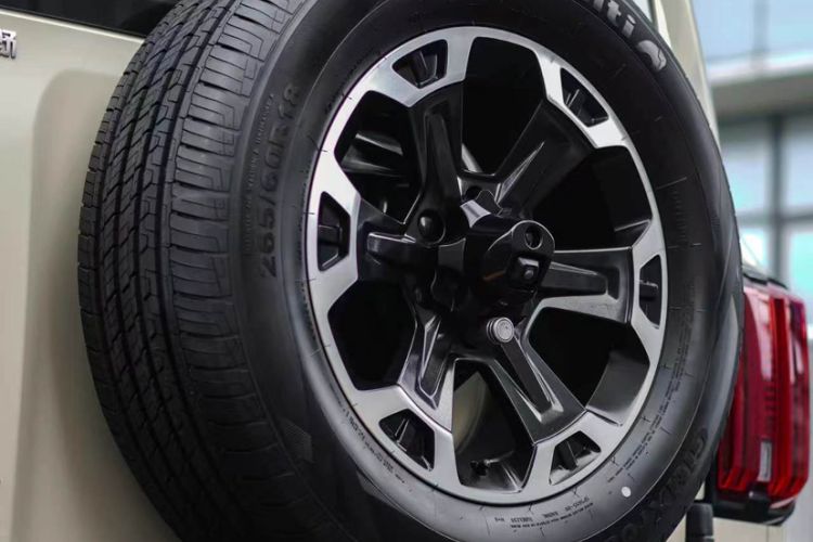 Used Tank 300 New Energy 2025 Hi4-T Exterior 8