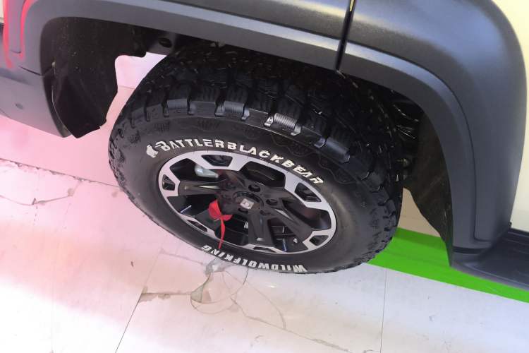 Used Tank 300 New Energy 2025 Hi4-T Exterior 8