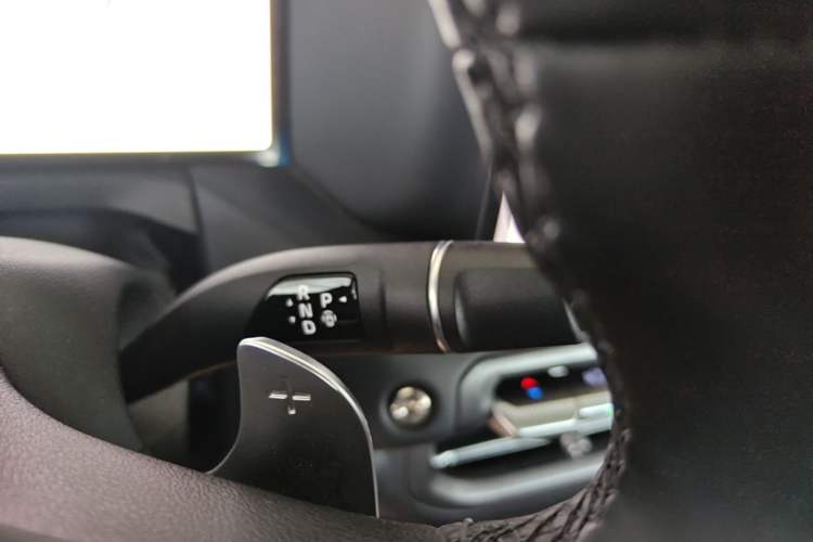 Used Tank 300 New Energy 2025 Hi4-T Gear Lever