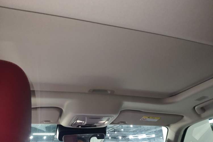 Used Tank 300 New Energy 2025 Hi4-T Headliner