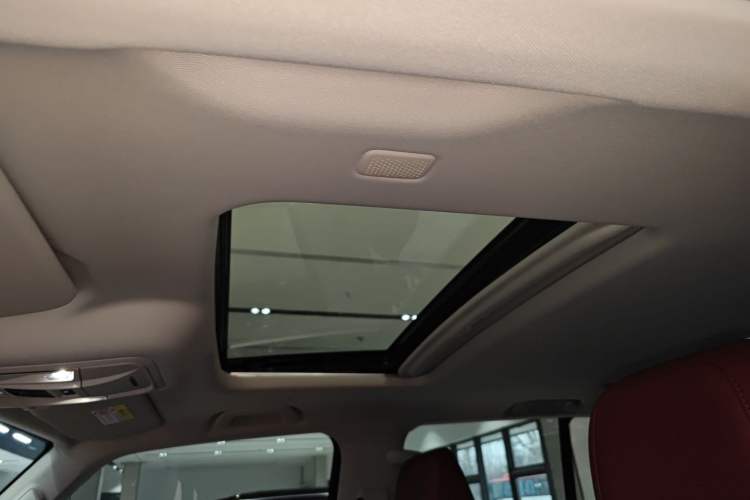 Used Tank 300 New Energy 2025 Hi4-T Headliner