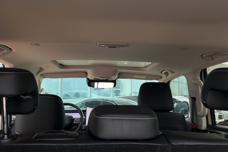 Used Tank 300 New Energy 2025 Hi4-T Headliner