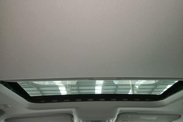 Used Tank 300 New Energy 2025 Hi4-T Headliner