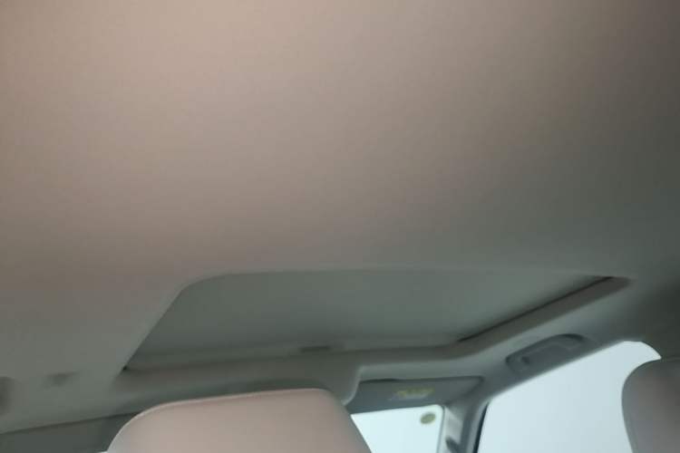 Used Tank 300 New Energy 2025 Hi4-T Headliner