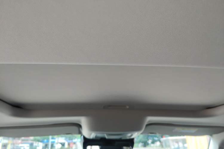Used Tank 300 New Energy 2025 Hi4-T Headliner