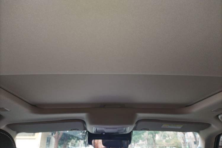 Used Tank 300 New Energy 2025 Hi4-T Headliner