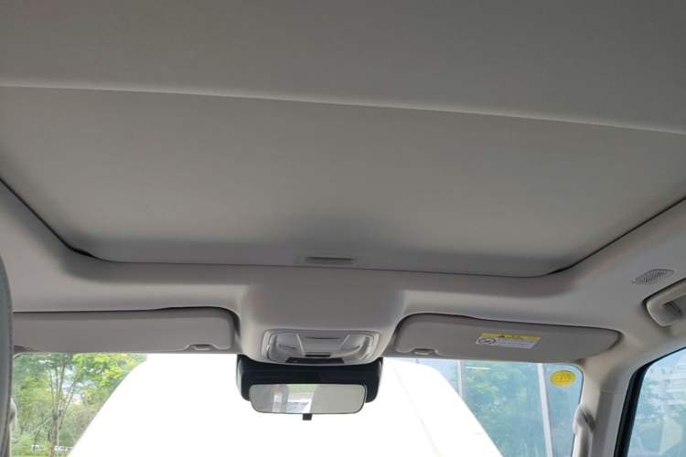 Used Tank 300 New Energy 2025 Hi4-T Headliner