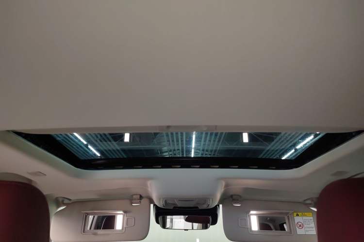 Used Tank 300 New Energy 2025 Hi4-T Headliner