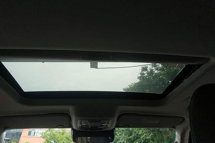 Used Tank 300 New Energy 2025 Hi4-T Headliner