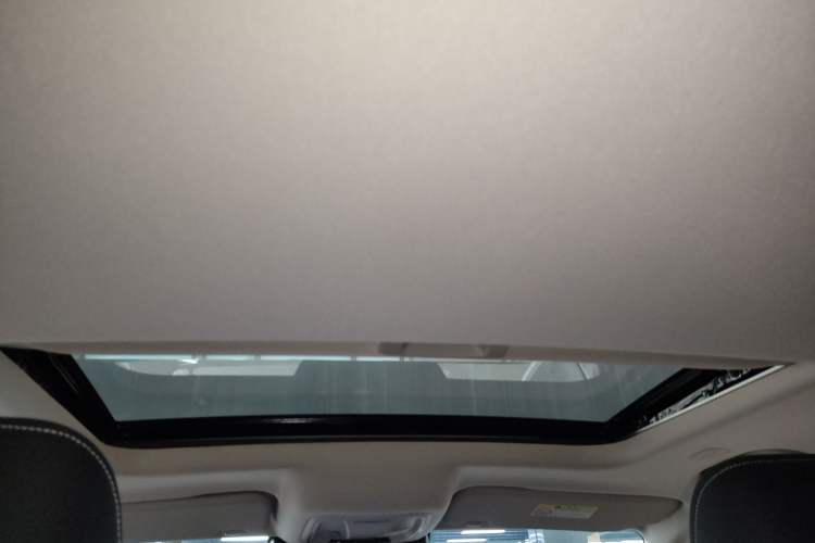Used Tank 300 New Energy 2025 Hi4-T Headliner