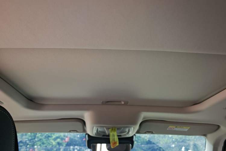 Used Tank 300 New Energy 2025 Hi4-T Headliner