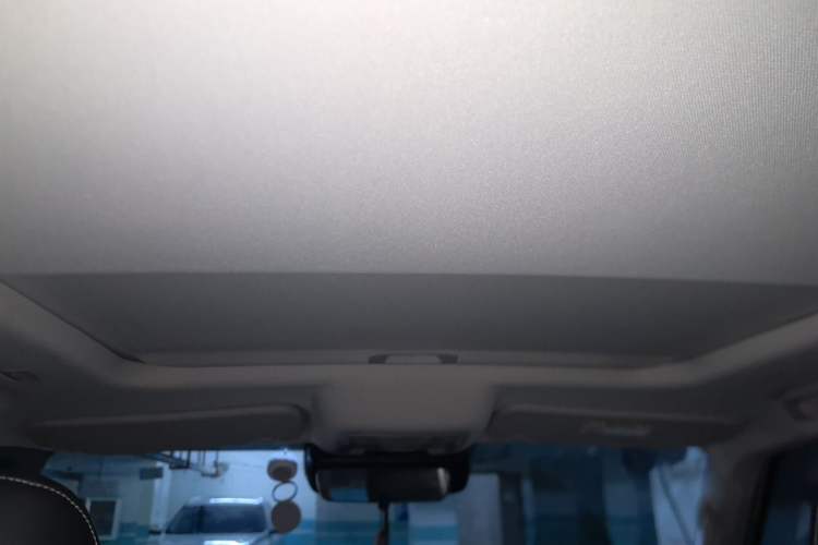 Used Tank 300 New Energy 2025 Hi4-T Headliner
