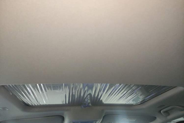 Used Tank 300 New Energy 2025 Hi4-T Headliner