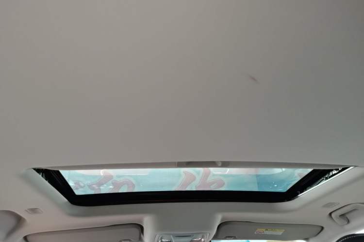 Used Tank 300 New Energy 2025 Hi4-T Headliner
