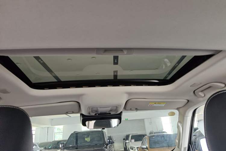 Used Tank 300 New Energy 2025 Hi4-T Headliner