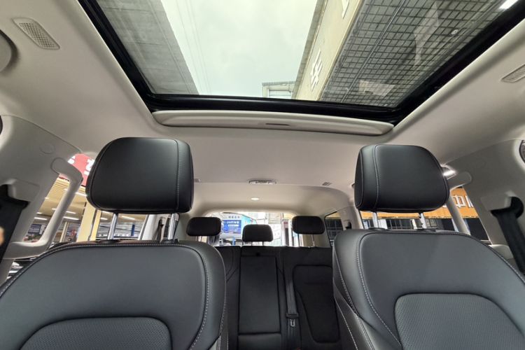 Used Tank 300 New Energy 2025 Hi4-T Headliner