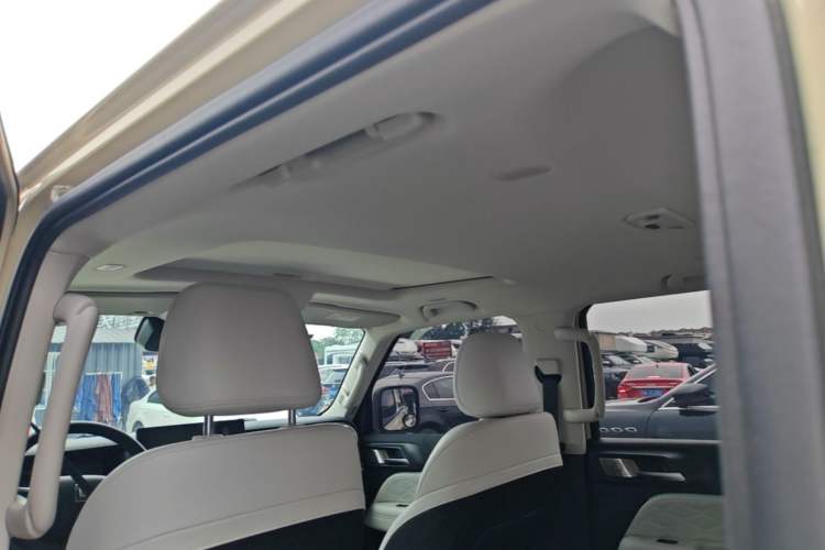 Used Tank 300 New Energy 2025 Hi4-T Headliner
