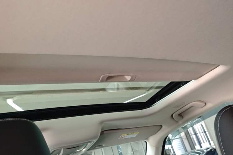 Used Tank 300 New Energy 2025 Hi4-T Headliner