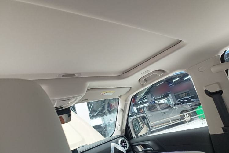 Used Tank 300 New Energy 2025 Hi4-T Headliner