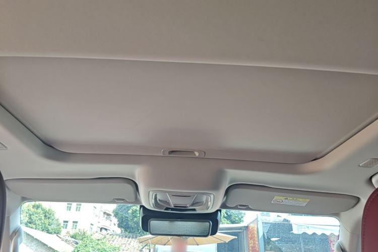 Used Tank 300 New Energy 2025 Hi4-T Headliner