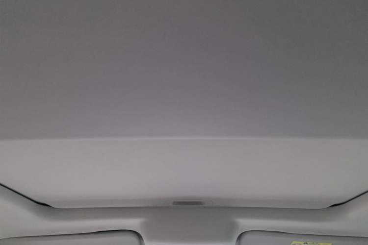 Used Tank 300 New Energy 2025 Hi4-T Headliner