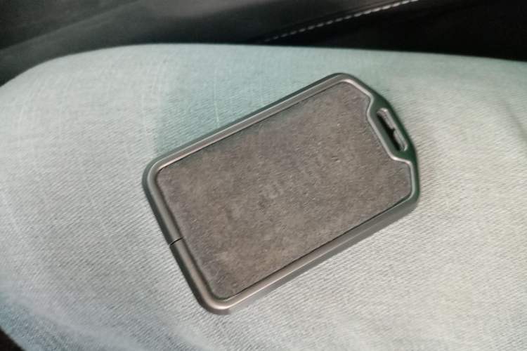 Used Tank 300 New Energy 2025 Hi4-T Interior 1