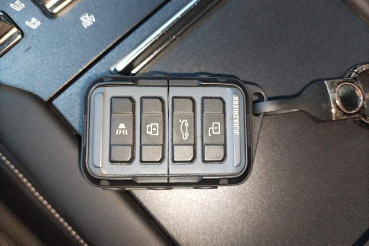 Used Tank 300 New Energy 2025 Hi4-T Interior 1