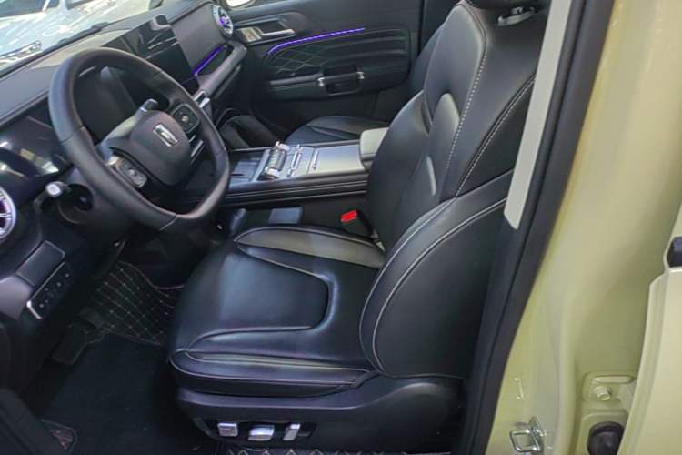 Used Tank 300 New Energy 2025 Hi4-T Left Front Seat