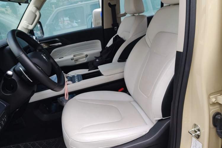 Used Tank 300 New Energy 2025 Hi4-T Left Front Seat