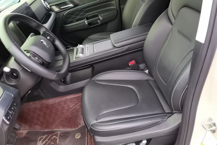 Used Tank 300 New Energy 2025 Hi4-T Left Front Seat