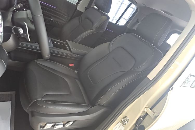 Used Tank 300 New Energy 2025 Hi4-T Left Front Seat